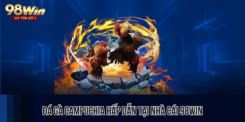 Lựa chọn hình thức đấu gà Campuchia thu hút đông đảo người chơi